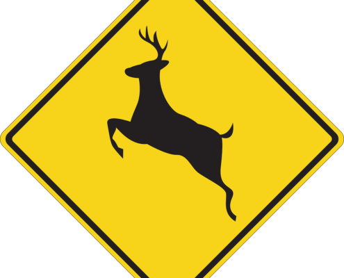 How to lower your risk for a deer collision in Lafayette, LA