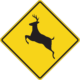 How to lower your risk for a deer collision in Lafayette, LA