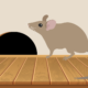 How to prevent rodent damage in your Lafayette, LA home