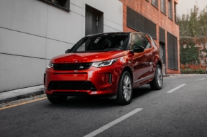 Auto Insurance & Car Theft in Lafayette, LA